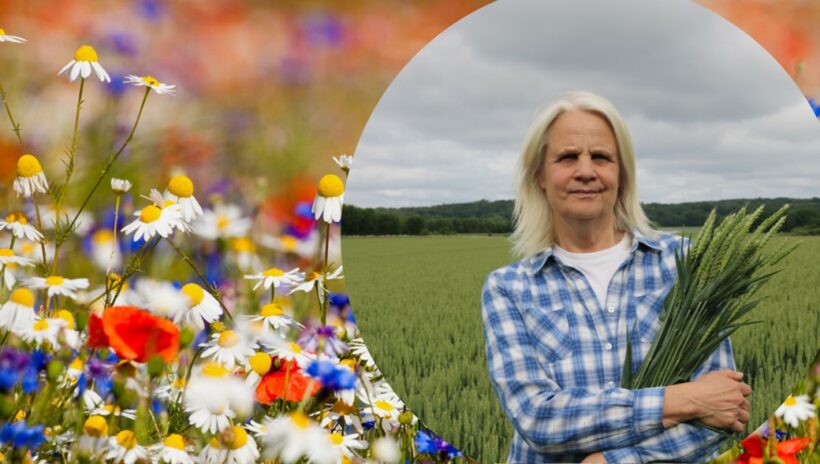 närbild på ängsblommor och en kvinna i blårutig skjorta i ett sädesfält